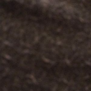 Meet your Posher, Abigail